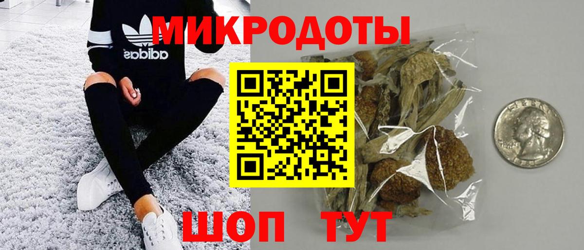 Галлюциногенные грибы Psilocybe Омск